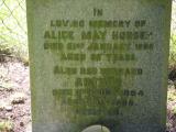 image of grave number 849684